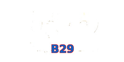 B29