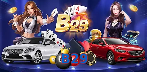 B29