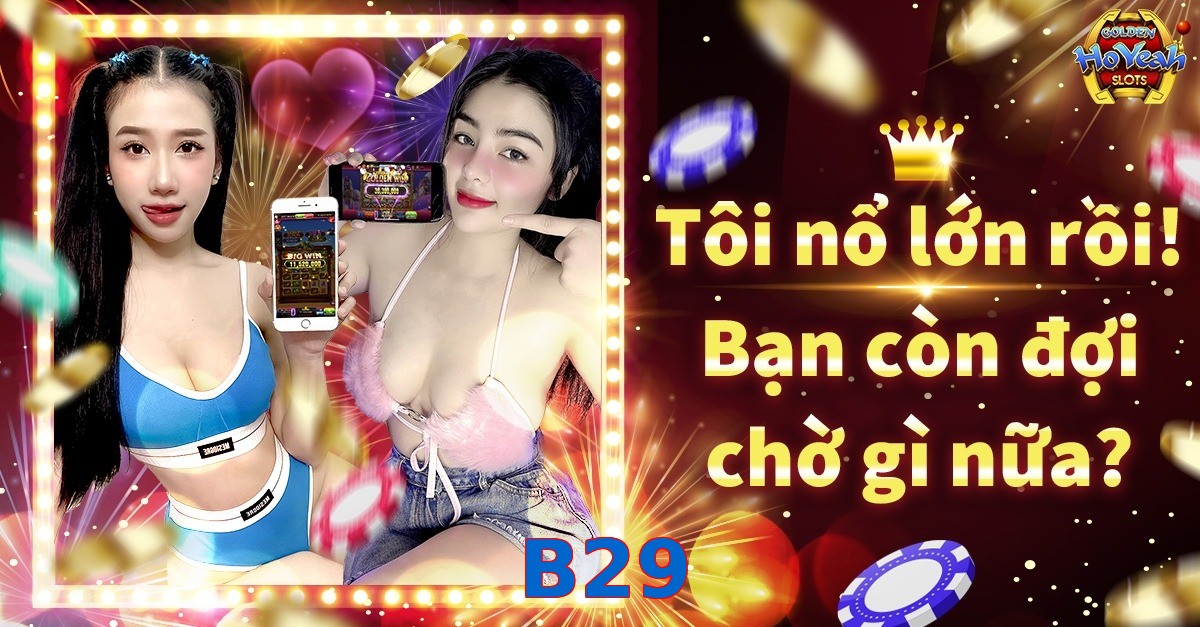 B29